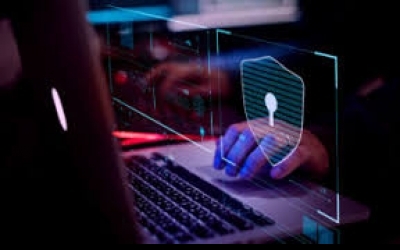 Um a cada 5 brasileiros tem identidade roubada na internet
